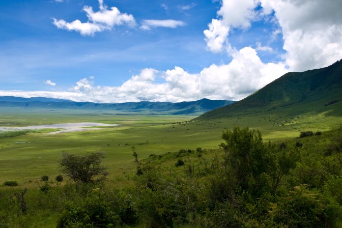 Misty Mornings in the Crater: Life Awakens in Ngorongoro