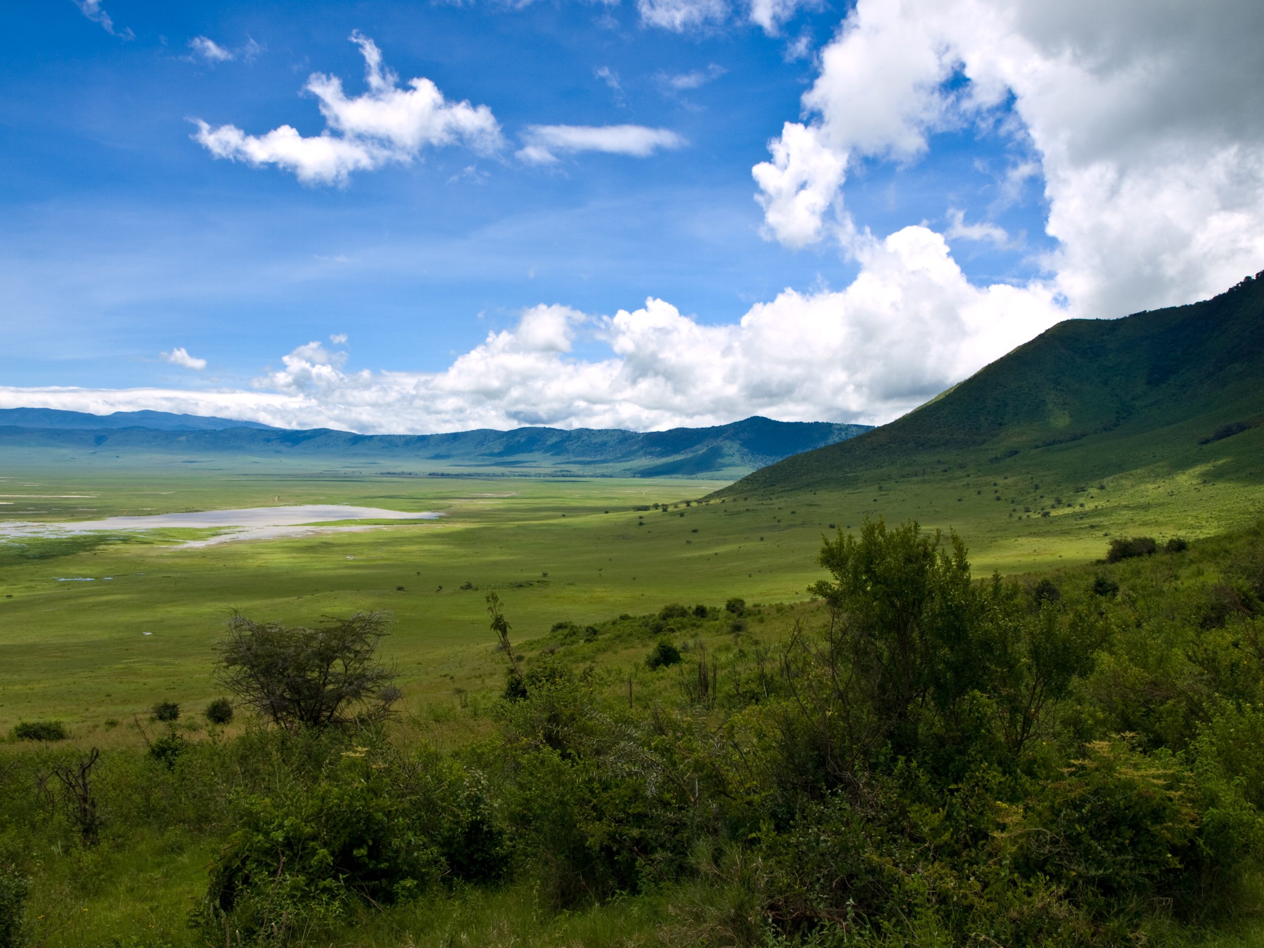 Misty Mornings in the Crater: Life Awakens in Ngorongoro